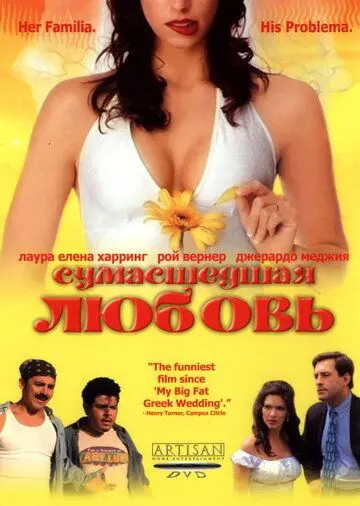 Постер: Сумасшедшая любовь / Mi Casa, Su Casa (2003)
