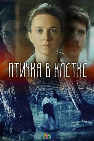 Постер: Птичка в клетке (2020)