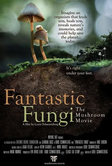 Постер: Фантастические Грибы / Fantastic Fungi (2019)