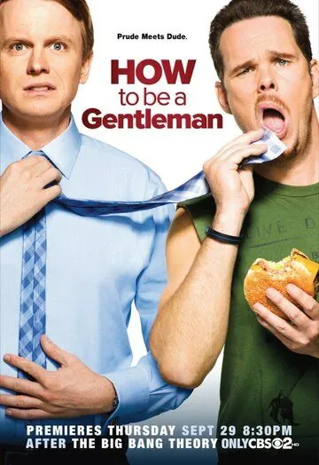 Постер: Как стать джентльменом / How to Be a Gentleman (2011)