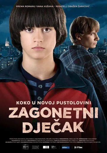 Постер: Таинственный мальчик / Zagonetni djecak (2013)