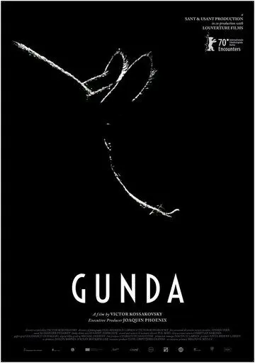 Постер: Гунда / Gunda (2020)