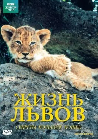 Постер: BBC: Жизнь львов / Lions: Spy in the Den (2000)