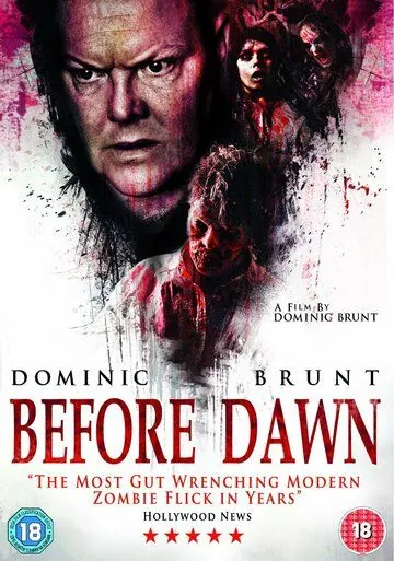 Постер: Перед рассветом / Before Dawn (2013)