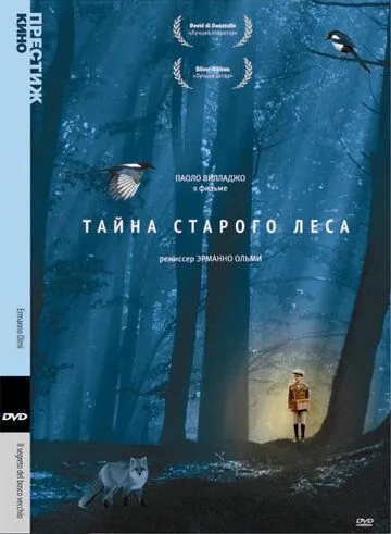 Постер: Тайна старого леса / Il segreto del bosco vecchio (1993)