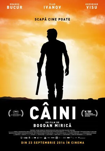 Постер: Собаки / Câini (2016)