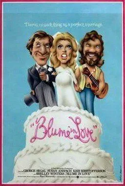 Постер: Влюбленный Блум / Blume in Love (1973)