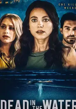 Постер: Незнакомец / Dead in the Water (2021)