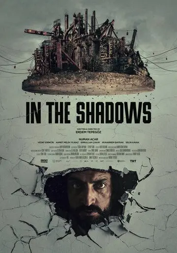 Постер: В тени / In the Shadows (2020)