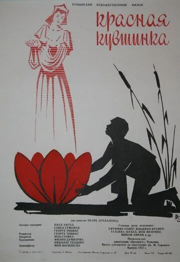 Постер: Красная кувшинка / Nufarul rosu (1956)
