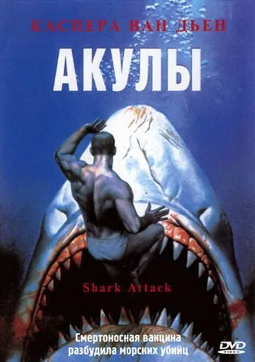 Постер: Акулы / Shark Attack (1999)