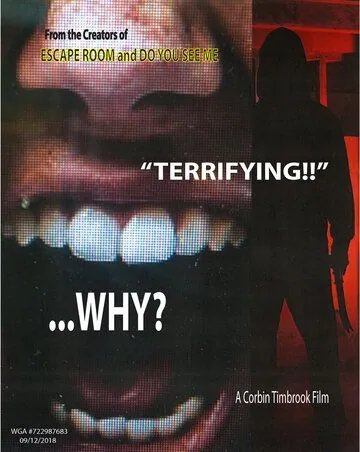 Постер: За что? / Why? (2019)