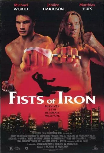 Постер: Кастет / Fists of Iron (1995)