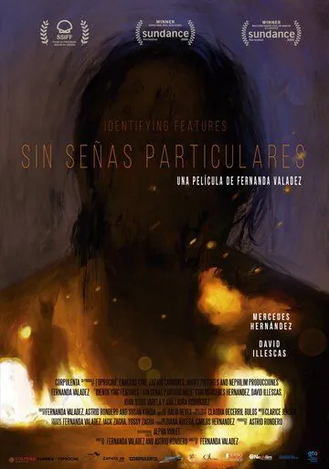 Постер: Без особых примет / Sin señas particulares (2020)