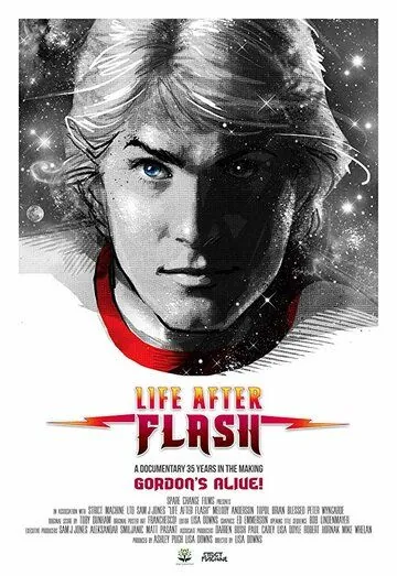 Постер: Жизнь после Флэша / Life After Flash (2017)