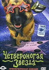 Постер: Четвероногая звезда / Il destino ha 4 zampe (2002)