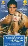 Постер: Прекрасная принцесса / Piccolo grande amore (1993)