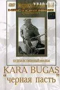 Постер: Черная пасть (1935)