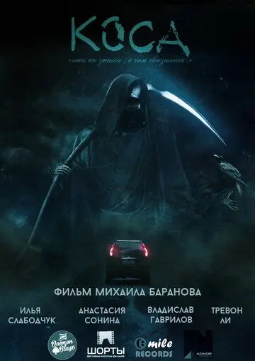 Постер: Коса (2014)