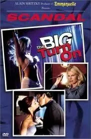 Постер: Большая заваруха / Scandal: The Big Turn On (2000)