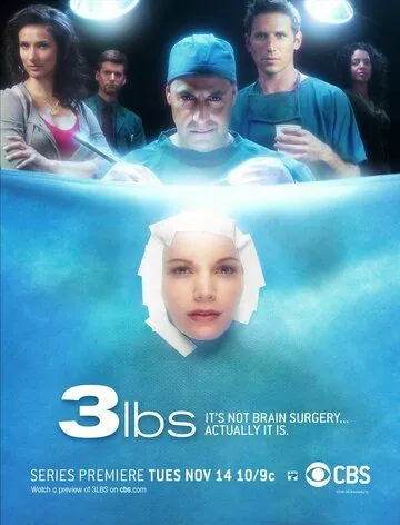 Постер: 3 Фунта / 3 lbs. (2006)