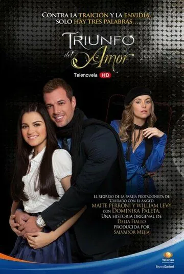 Постер: Триумф любви / Triunfo del amor (2010)