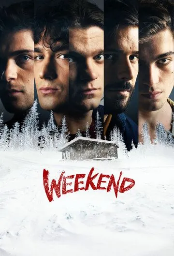 Постер: Загадочное убийство / Weekend (2020)