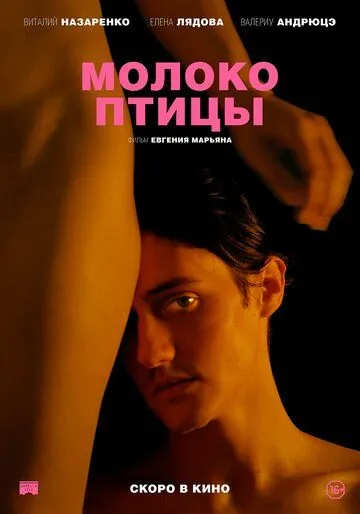 Постер: Молоко птицы (2021)