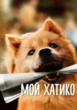 Постер: Мой Хатико / Zhong quan ba gong (2023)