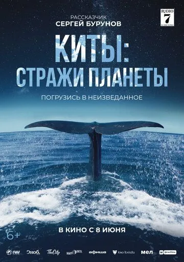 Постер: Киты: Стражи планеты / Les gardiennes de la planète (2023)