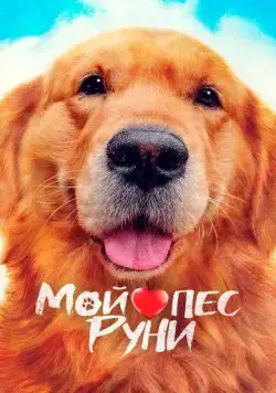 Постер: Мой пёс Руни / Meongmongi (2023)