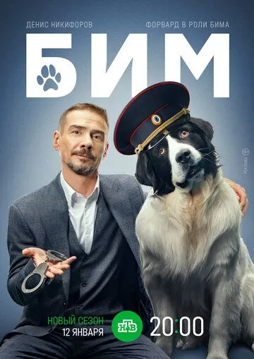 Постер: Сериал БиМ (2021)