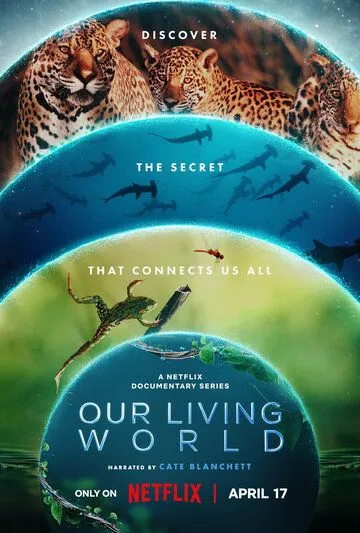 Постер: Наш живой мир / Our Living World (2024)