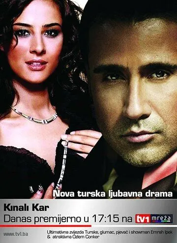 Постер: Ягелевое дерево / Kinali kar (2002)