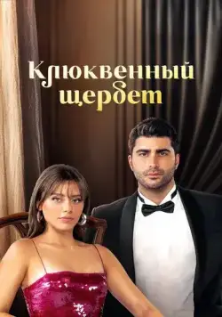 Постер: Клюквенный щербет / Kızılcık Şerbeti (2022)