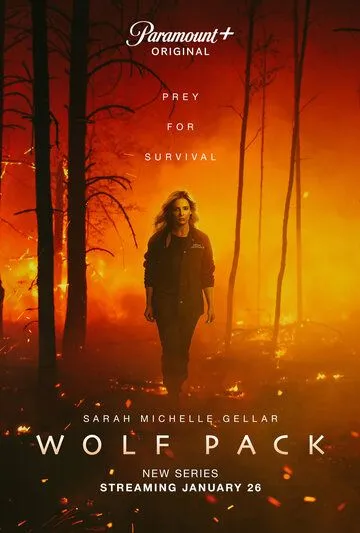 Постер: Волчья стая / Wolf Pack (2023)