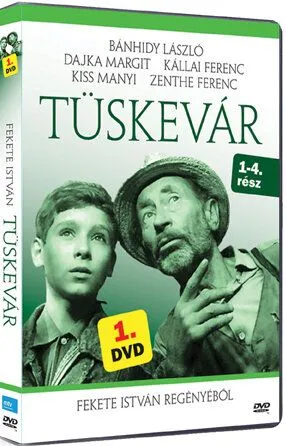 Постер: Терновая крепость / Tüskevár (1967)