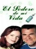 Постер: Искрящаяся любовь / El sodero de mi vida (2001)