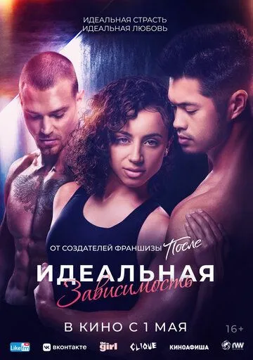 Постер: Идеальная зависимость / Perfect Addiction (2023)