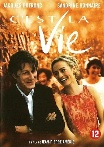 Постер: Это жизнь / C'est la vie (2001)