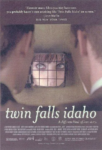 Постер: Близнецы из Айдахо / Twin Falls Idaho (1999)