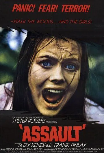 Постер: Нападение / Assault (1971)