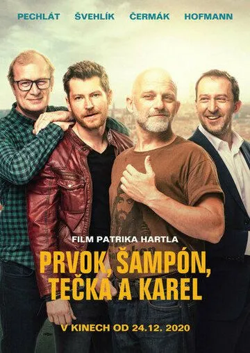 Постер: Элемент, Шампунь, Точка и Карел (2021)