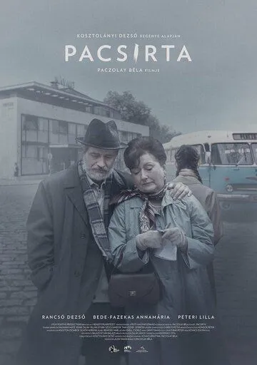 Постер: Жаворонок / Pacsirta (2022)
