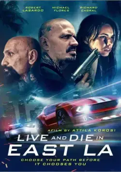 Постер: Банды Лос-Анджелеса / Maze of Fate (2023)