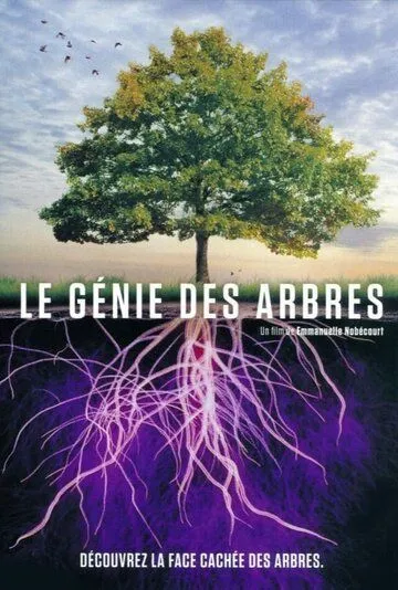Постер: Деревья: гении мира природы / Le génie des arbres (2020)