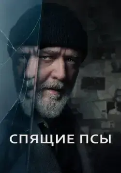 Постер: Спящие псы / Sleeping Dogs (2024)