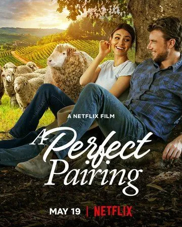 Постер: Идеальное сочетание / A Perfect Pairing (2022)