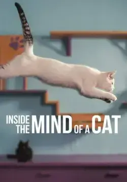 Постер: Внутри разума кошки / Inside the Mind of a Cat (2022)