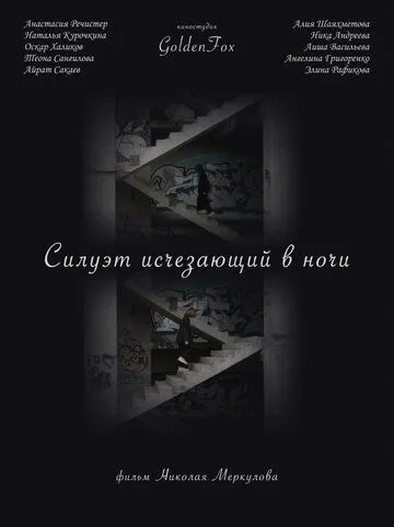 Постер: Силуэт, исчезающий в ночи (2022)